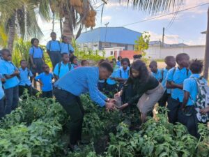 CEDECA Promove Educação Ambiental e Plantio de Árvores na Escola Primária Completa Milha 3