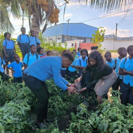 CEDECA Promove Educação Ambiental e Plantio de Árvores na Escola Primária Completa Milha 3